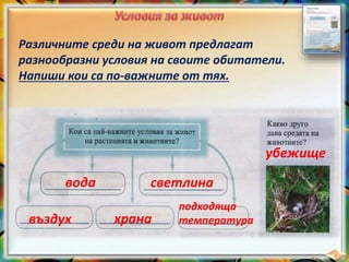 Различните среди на живот предлагат
разнообразни условия на своите обитатели.
Напиши кои са по-важните от тях.
вода светлина
въздух храна
подходяща
температура
убежище
 