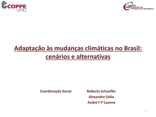 Adaptação às mudanças climáticas no Brasil:
cenários e alternativas
Coordenação Geral: Roberto Schaeffer
Alexandre Szklo
André F P Lucena
1
 