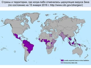 Страны и территории, где когда-либо отмечалась циркуляция вируса Зика
(по состоянию на 15 января 2016 г. http://www.cdc.gov/zika/geo/)
 