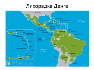 Лихорадка Денге
 