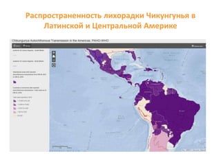Распространенность лихорадки Чикунгунья в
Латинской и Центральной Америке
 