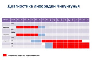 Диагностика лихорадки Чикунгунья
Образец метод д0 д1 д2 д3 д4 д5 д6 д7 д8 Д
9
Д
10
Д
11
Д
12
Д
13
Д
14
Д
15
м1 м2 м3 м6
ПЦР
сыворотка
Изо-
ляция
вируса
сыворотка
ИФА
cыворотка IgM
IgG
NT
Оптимальный период для проведения анализа
 