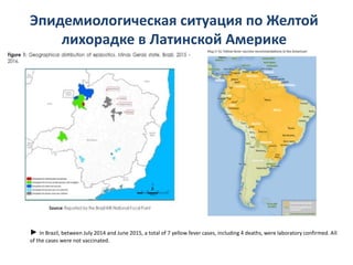 Эпидемиологическая ситуация по Желтой
лихорадке в Латинской Америке
► In Brazil, between July 2014 and June 2015, a total of 7 yellow fever cases, including 4 deaths, were laboratory confirmed. All
of the cases were not vaccinated.
 