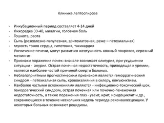 Клиника лептоспироза
- Инкубационный период составляет 4-14 дней
- Лихорадка 39-40, миалгии, головная боль
- Тошнота, рвота
- Сыпь (резеолезно-папулезная, эритематозная, реже – петехиальная)
- глухость тонов сердца, гипотония, тахикардия
- Увеличение печени, могут развиться желтушность кожный покровов, серозный
менингит
- Признаки поражения почек: вначале возникает олигурия, при ухудшении
ситуации - анурия. Острая почечная недостаточность, приводящая к уремии,
является наиболее частой причиной смерти больных.
- Неблагоприятным прогностическим признаком является геморрагический
синдром - петехиальная сыпь, кровоизлияния в склеру, конъюнктивы.
- Наиболее частыми осложнениями являются - инфекционно-токсический шок,
геморрагический синдром, острая почечная или почечно-печеночная
недостаточность, а также поражения глаз - увеит, ирит, иридоциклит и др.,
сохраняющиеся в течение нескольких недель периода реконвалесценции. У
некоторых больных возникают рецидивы.
 