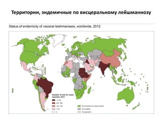 Территории, эндемичные по висцеральному лейшманиозу
 