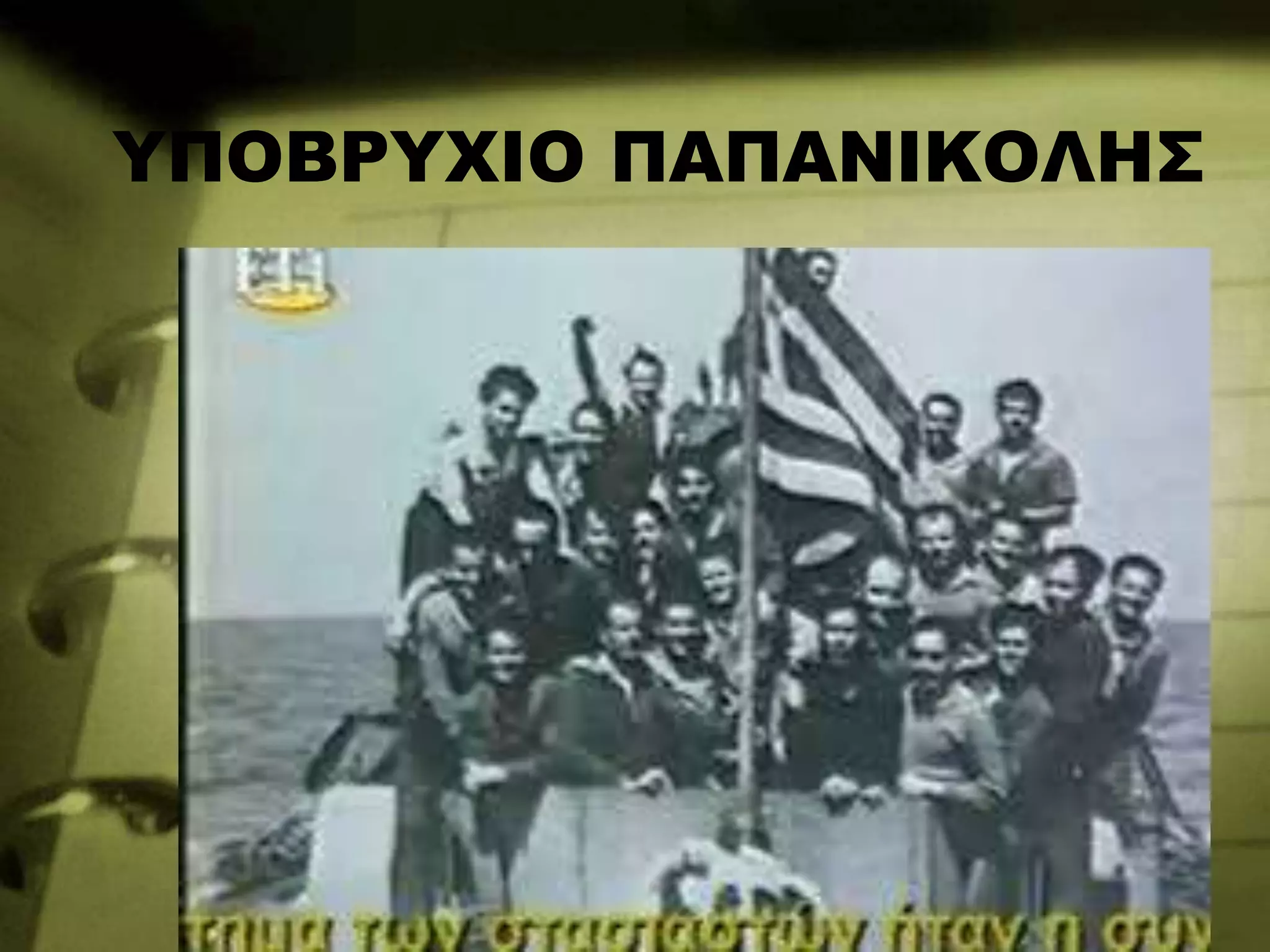 ΥΠΟΒΡΥΧΙΟ ΠΑΠΑΝΙΚΟΛΗΣ
 