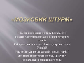 Які ссавці належать до ряду Комахоїдні?
Назвіть розпізнавальні ознаки плацентарних
ссавців
Які представники комахоїдних зустрічаються в
Україні?
Чим різняться крила кажанів і крила птахів?
Які тварини належать до ряду Гризуни?
Які характерні ознаки цього ряду?
 