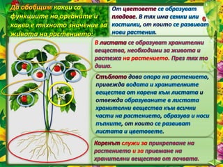 какви са
функциите на органите и
какво е тяхното значение за
живота на растението:
служи за
и за
.
дава ,
привежда
и
отвежда
,
, от които
.
В
,
на растението.
.
От
. В тях има
, от които
.
 