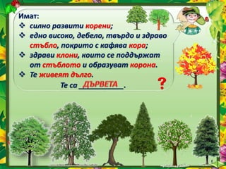 Имат:
 силно развити корени;
 едно високо, дебело, твърдо и здраво
стъбло, покрито с кафява кора;
 здрави клони, които се поддържат
от стъблото и образуват корона.
 Те живеят дълго.
Те са ___________.
 