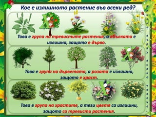 Кое е излишното растение във всеки ред?
Това е група на тревистите растения, а ябълката е
излишна, защото е дърво.
К
л
и
к
н
и
в
ъ
р
х
у
в
с
я
к
о
ч
о
в
е
ч
е
.
Това е група на дърветата, а розата е излишна,
защото е храст.
Това е група на храстите, а тези цветя са излишни,
защото са тревисти растения.
 