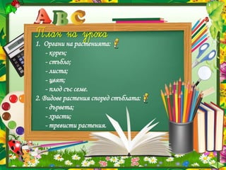 1. Органи на растенията:
- корен;
- стъбло;
- листа;
- цвят;
- плод със семе.
2. Видове растения според стъблата:
- дървета;
- храсти;
- тревисти растения.
 