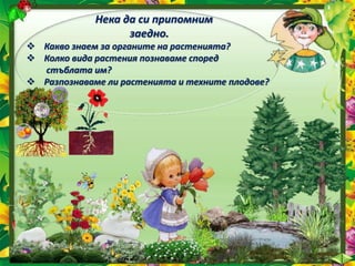 Нека да си припомним
заедно.
 Какво знаем за органите на растенията?
 Колко вида растения познаваме според
стъблата им?
 Разпознаваме ли растенията и техните плодове?
 