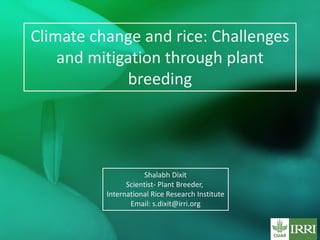 Climate change and rice: Challenges
and mitigation through plant
breeding
Shalabh Dixit
Scientist- Plant Breeder,
International Rice Research Institute
Email: s.dixit@irri.org
 