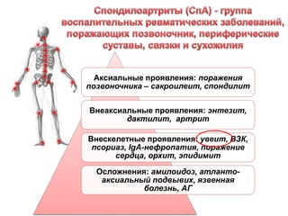 Аксиальные проявления: поражения
позвоночника – сакроилеит, спондилит
Внеаксиальные проявления: энтезит,
дактилит, артрит
Внескелетные проявления: увеит, ВЗК,
псориаз, IgA-нефропатия, поражение
сердца, орхит, эпидимит
Осложнения: амилоидоз, атланто-
аксиальный подвывих, язвенная
болезнь, АГ
 