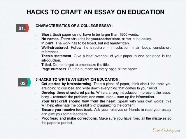 essay on primary education