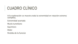 CUADRO CLÍNICO
A la exploración se muestra toda la extremidad en rotación extrema
completa.
Extremidad acortada
Muslo tumefacto
Equimosis
Dolor
Perdida de la funcion
 