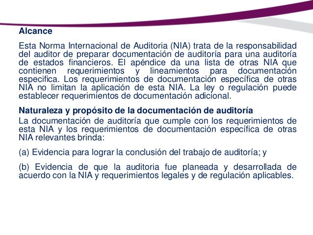 NIA 230 Documentación de auditoría