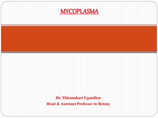 Dr. Thirunahari Ugandhar
Head & Assistant Professor in Botany
MYCOPLASMA
 