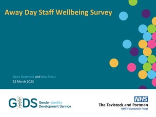 Away Day Staff Wellbeing Survey
Daisy Haywood and Una Masic
23 March 2023
 