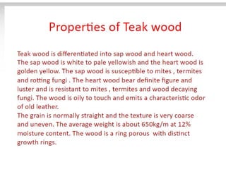 28. Teak timber-1.pdf