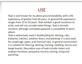 28. Teak timber-1.pdf