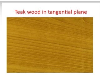 28. Teak timber-1.pdf