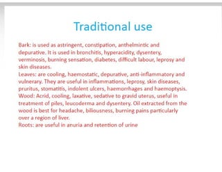 28. Teak timber-1.pdf