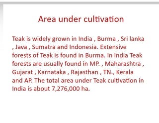 28. Teak timber-1.pdf