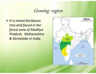 28. Teak timber-1.pdf