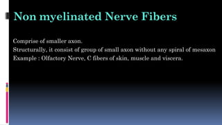 Non myelinated Nerve Fibers
• Comprise of smaller axon.
• Structurally, it consist of group of small axon without any spiral of mesaxon
• Example : Olfactory Nerve, C fibers of skin, muscle and viscera.
 