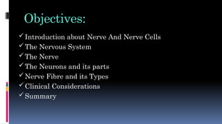 Objectives:
Introduction about Nerve And Nerve Cells
The Nervous System
The Nerve
The Neurons and its parts
Nerve Fibre and its Types
Clinical Considerations
Summary
 