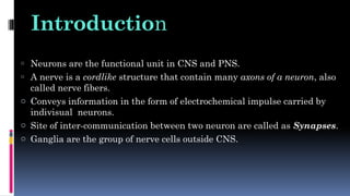Introduction
o Neurons are the functional unit in CNS and PNS.
o A nerve is a cordlike structure that contain many axons of a neuron, also
called nerve fibers.
o Conveys information in the form of electrochemical impulse carried by
indivisual neurons.
o Site of inter-communication between two neuron are called as Synapses.
o Ganglia are the group of nerve cells outside CNS.
 