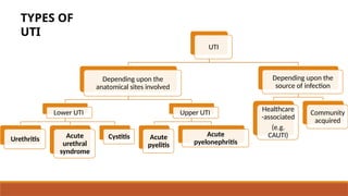 28.Urinarytractinfections.pptxurinary infections | PPTX