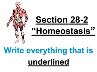Section 28-2
“Homeostasis”
Write everything that is
underlined
 