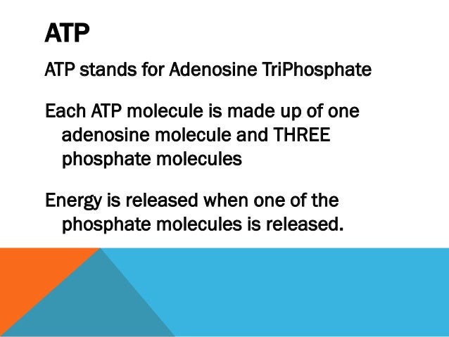 What Does Atp Stand For