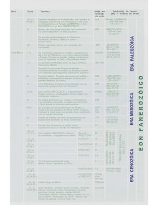 28 ano-da-terra.-eras-geológicas