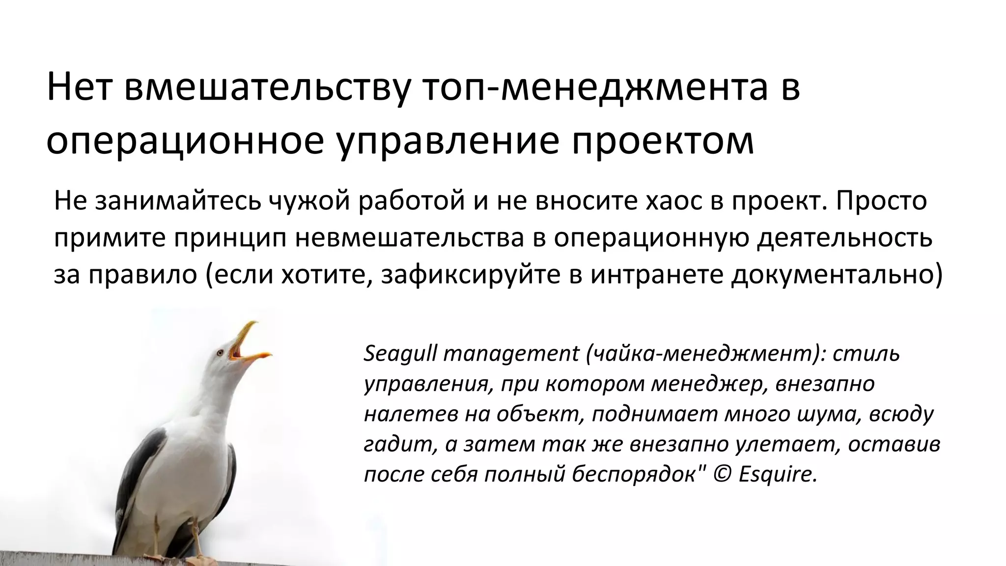 Нет вмешательству топ-менеджмента в
операционное управление проектом
Не занимайтесь чужой работой и не вносите хаос в проект. Просто
примите принцип невмешательства в операционную деятельность
за правило (если хотите, зафиксируйте в интранете документально)
Seagull management (чайка-менеджмент): стиль
управления, при котором менеджер, внезапно
налетев на объект, поднимает много шума, всюду
гадит, а затем так же внезапно улетает, оставив
после себя полный беспорядок" © Esquire.

 
