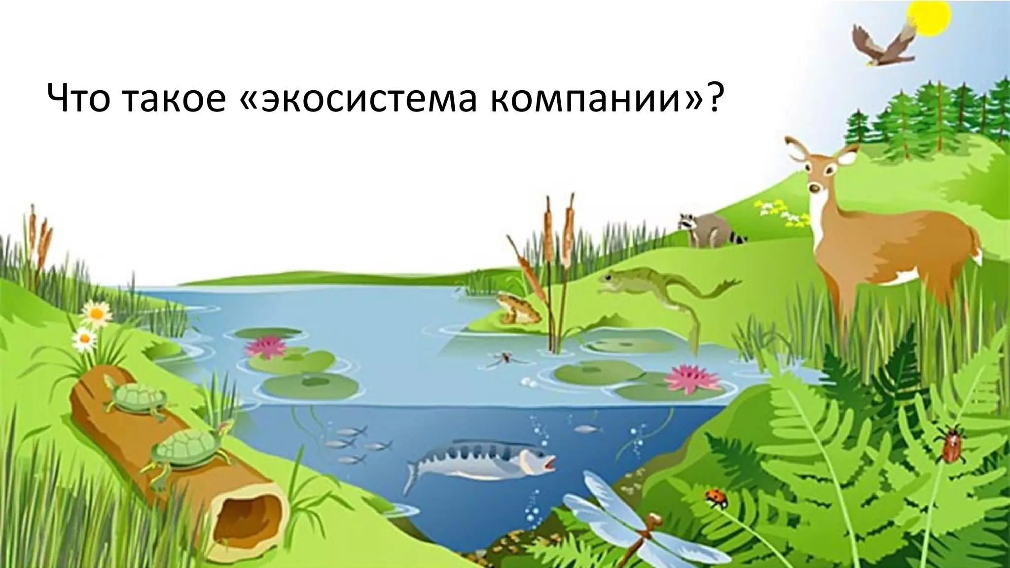 Что такое «экосистема компании»?

 