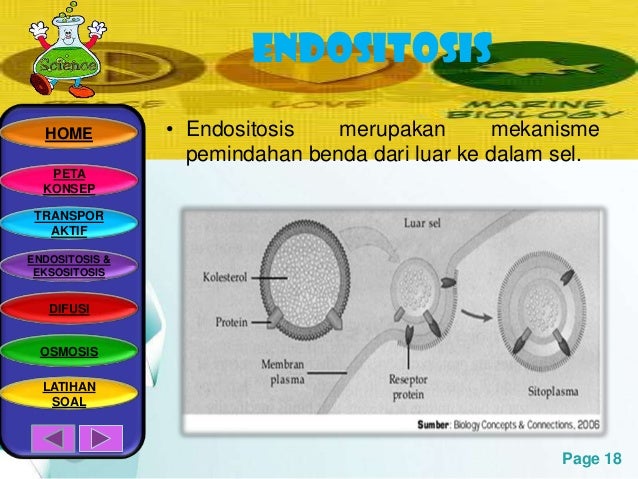 28.ellisa mahardini.pptx