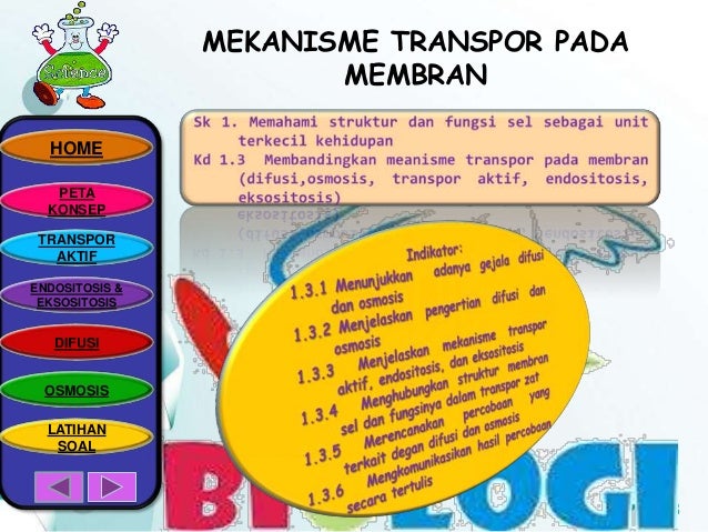 28.ellisa mahardini.pptx