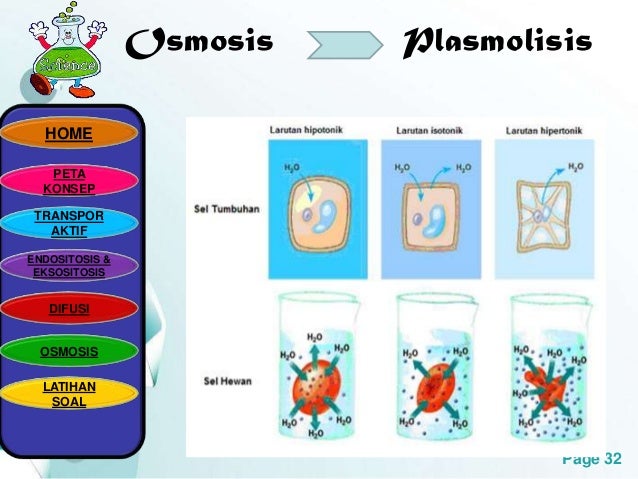 28.ellisa mahardini.pptx