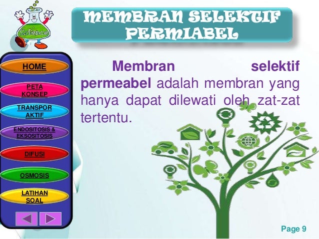28.ellisa mahardini.pptx