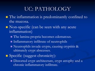 UC: PATHOLOGY
 The inflammation is predominantly confined to
the mucosa.
 Non-specific (can be seen with any acute
inflammation)
 The lamina propria becomes edematous.
 Inflammatory infiltrate of neutrophils
 Neutrophils invade crypts, causing cryptitis &
ultimately crypt abscesses.
 Specific (suggest chronicity):
 Distorted crypt architecture, crypt atrophy and a
chronic inflammatory infiltrate.
 
