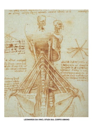 LEONARDO DA VINCI, STUDI SUL CORPO UMANO
 