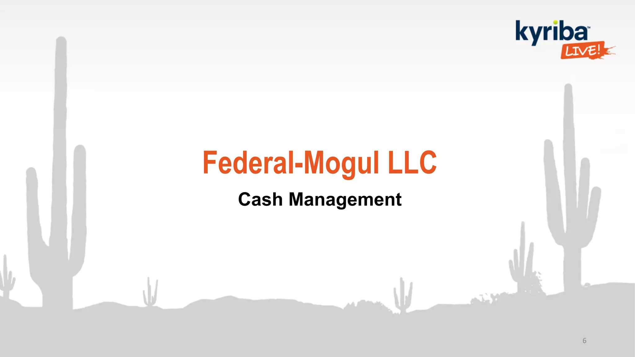 Federal-Mogul LLC
Cash Management
6
 