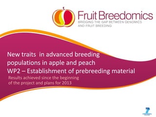 New traits in advanced breeding
populations in apple and peach
WP2 – Establishment of prebreeding material
Results achieved since the beginning
of the project and plans for 2013
 