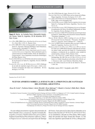 OBSERVACIONES DE CAMPO
Giai AG (1950) Notas de viajes. Hornero 9:121–164
Hartert E & S Venturi (1909) Notes sur les oiseaux de la République Argentine. Novitates Zoologicae 16:11–267.
Iucn (2011) IUCN Red List of Threatened Species. Version 2011
[URL: http://www.iucnredlist.org]
Luna H & M Manassero (2008) Nuevos registros de aves para
Santa Fe y Santiago del Estero, Argentina. Nuestras Aves
53:12–13.
Luna H & M Manassero (2012) Registros de aves en bosques
de quebrachos del Dorso Occidental Subhúmedo de Santa
Fe, Argentina. Revista Biológica 15:64–70
Martinez Achembach GM (1957) Lista de las aves de la provincia
de Santa Fe. Anales Museo Provincial de Ciencias Naturales
“Florentino Ameghino” 1:1–61.
Ordano M & A Bosisio (2001) Catálogo de aves del Museo
Provincial de Ciencias Naturales “Florentino Ameghino”,
Santa Fe, Argentina. Serie Catálogos Nº 7, Santa Fe.
Pautasso A (2002) Nuevos registros para aves poco citadas en
Santa Fe, Argentina. Nuestras Aves 43:19–21
Rodriguez Groves V, A Pautasso, P Preliasco, MV del Sastre
& F Miñarro (2009) Relevamiento ambiental de la Estancia Isleta Linda, provincia de Santa Fe. Caracterización
ecológica y evaluación de su condición como unidad de
conservación y manejo. FVSA, Buenos Aires.
Van Gils J & P Wiersma (1996) Species accounts. Family
Scolopacidae. Pp: 489–583, en: del Hoyo J, Elliott A and
Sargatal J (Eds.) Handbook of the Birds of the World, vol.
3: Hoatzin to Auks. Lynx Edicions, Barcelona, Spain
Wilson AS (1926) Lista de aves del sur de Santa Fe. Hornero
3:349–363.

Figura 9. Macho de Corbatita Overo (Sporophila lineola),
Las Toscas, Santa Fe, Argentina, 26 de diciembre 2012.
Foto: H Luna.
Peña MR (2006) Lista y distribución de las aves de Santa
Fe y Entre Ríos. L.O.L.A., Buenos Aires.
de la Peña MR (2011) Atlas ornitogeográfico de la provincia de
Santa Fe, Argentina. Ediciones Biológica. Serie Naturaleza,
Conservación y Sociedad Nº 4. Santa Fe.
di Giacomo AS (2005) [Ed.] Áreas importantes para la conservación de las aves en Argentina. Sitios prioritarios para la
conservación de la biodiversidad: Temas de Naturaleza y
Conservación 5. Aves Argentinas/Asociación Ornitológica
del Plata, Buenos Aires
Fandiño B & AR Giraudo (2010) Revisión del inventario de aves
de la provincia de Santa Fe, Argentina. Revista FABICIB
14:116–137.
Fandiño B, A Pautasso & JM Mastropaolo (2011) Hallazgo
de un nido de carpintero negro (Dryocupus schulzi, aves:
Picidae) en bosques del chaco seco santafesino. Revista
Biológica 14:79–80.
de la

Recibido: marzo 2013 / Aceptado: julio 2013

Nuestras Aves 58: 68-72, 2013

NUEVOS APORTES SOBRE LA AVIFAUNA DE LA PROVINCIA DE SANTIAGO
DEL ESTERO, ARGENTINA
Oscar R. Coria1,2, Norberto Gómez2, Javier Heredia3, Oscar Quiroga2,4,5, Daniel A. Carrizo6, Pablo Ruiz1, Martín
Herrera1 y Lilia M. Rojas1,2
Facultad de Ciencias Forestales, Universidad Nacional de Santiago del Estero (UNSE). Av. Belgrano (s) Nº 1912, Ciudad Capital de Santiago
del Estero (4200), Argentina. Correo electrónico: orcunse2002@yahoo.com.ar
2
Integrante del COA Kakuy de Santiago del Estero.
3
Ecosistemas Argentinos. 27 de Abril 2050, Ciudad de Córdoba (5000).
4
Centro Nacional de Anillado de Aves (CENAA), Facultad de Ciencias Naturales e Instituto Miguel Lillo,
Universidad Nacional de Tucumán. Miguel Lillo 205 (4000) Tucumán.
5
Centro de Rehabilitación de Aves Rapaces (CeRAR), Reserva Experimental Horco Molle, Facultad de Ciencias Naturales e Instituto Miguel
Lillo, Universidad Nacional de Tucumán. Miguel Lillo 205 (4000) Tucumán.
6
Guardaparque de la Reserva y Parque Provincial Copo de Santiago del Estero, Argentina.

1

En este trabajo presentamos registros documentados de
Pato Colorado (Anas cyanoptera), Águila Coronada (Buteogallus coronatus), Tarefero (Sittasomus griseicapillus),
Espinero Frente Rojiza (Phacellodomus rufifrons), y Boyero Negro (Cacicus solitarius) en la provincia de Santiago

del Estero. Gran parte de los datos fueron obtenidos en la
Reserva Isla Tara Inti (27°30’54.57”S, 64°52’43.41”O) y
en sus alrededores, ubicada en el Río Dulce, 800 m aguas
abajo del paredón del dique frontal Río Hondo. La isla
tiene una superficie aproximada de 20 ha y alberga prin68

 