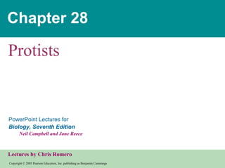 Chapter 28

Protists

PowerPoint Lectures for
Biology, Seventh Edition
Neil Campbell and Jane Reece

Lectures by Chris Romero
Copyright © 2005 Pearson Education, Inc. publishing as Benjamin Cummings

 