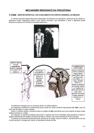 MECANISMO MEDIÚNICO DA PSICOFONIA

1ª FASE - MENTOR ESPIRITUAL FAZ O ISOLAMENTO DO CÓRTEX CEREBRAL DO MÉDIUM
   O mentor espiritual responsável pela preparação do fenômeno da psicofonia, aproxima-se do médium e
aplica-lhe forças magnéticas sobre o seu chacra coronário, que sensibiliza e ativa a glândula pineal
fazendo-a produzir um hormônio chamado melatonina.




    A melatonina interage com os neurônios tendo um efeito sedativo.
    Em seguida a melatonina é direcionada para a parte do córtex cerebral responsável pela fala e que vai
ficar sob seu efeito, ou seja, sedada.
    Assim, o médium perde o comando sobre os órgãos da fala, permitindo que outro espírito se ligue a este
sistema sensório e o utilize.
    Em seguida, os espíritos auxiliares aproximam o espírito que irá se manifestar pela psicofonia e fazem a
ligação perispiritual aos órgãos sensórios da fala do médium, isto ocorre através do chacra laríngeo.
    O espírito comunicante temporariamente apossa-se do órgão vocal do médium, apropriando-se de seu
mundo sensório, conseguindo, assim, se expressar através da fala.


                                                                                                        178
 