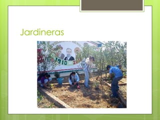 Jardineras
 